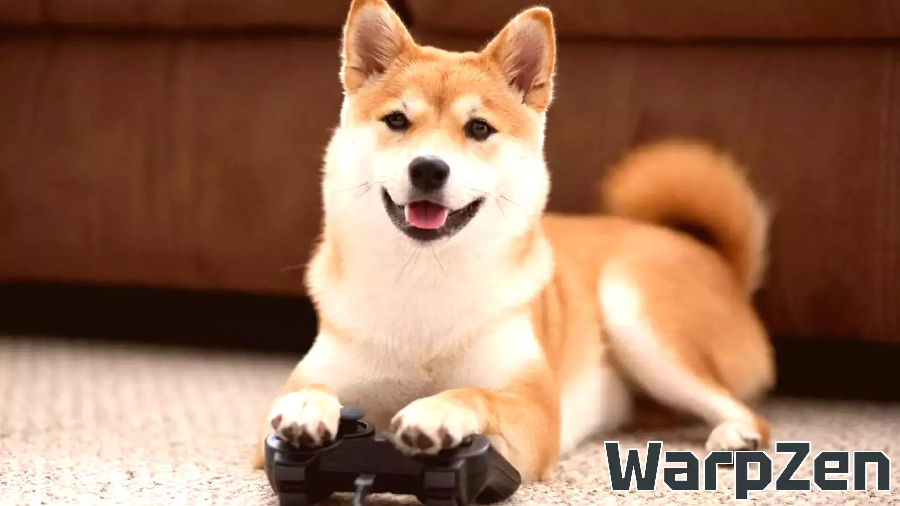 Animals Take the Lead: Exploring Cognition Through Video Games