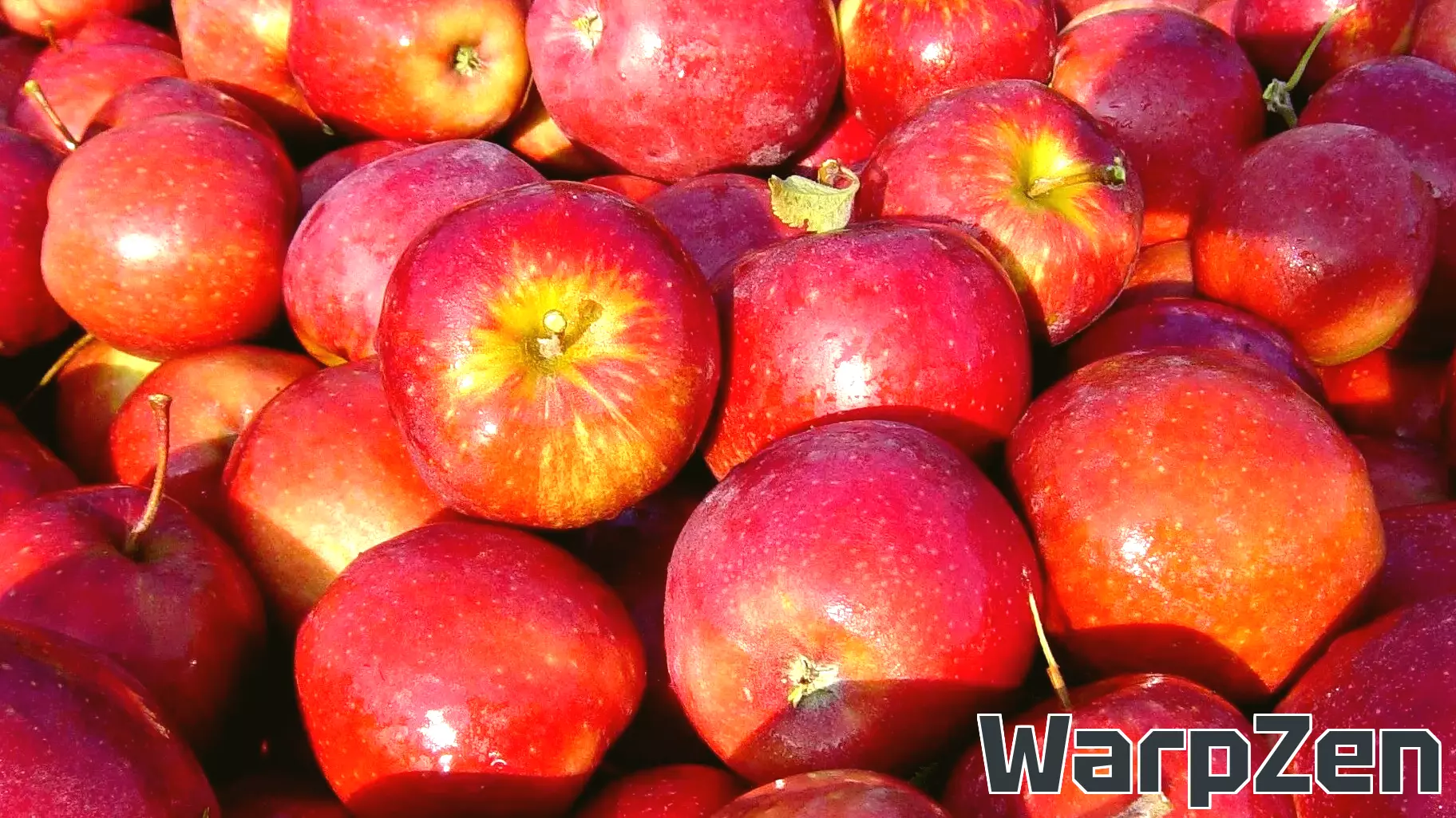 Video Game Study Shows Players Prioritize Helping Others Over Self-Interest