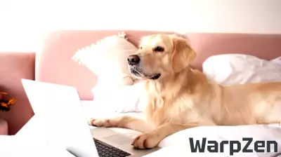 Golden Retriever Addicted to Video Games Is Basically an iPad Kid