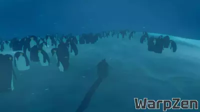 Indie Spotlight: Penguin Colony Asks What Happens When You Cross the Line