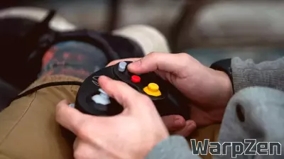 Supporting Veterans' Mental Health Through Gaming